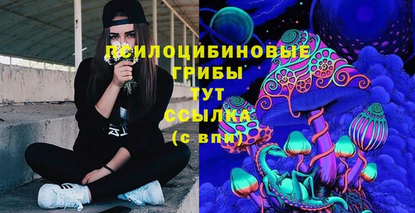 шишки Волоколамск